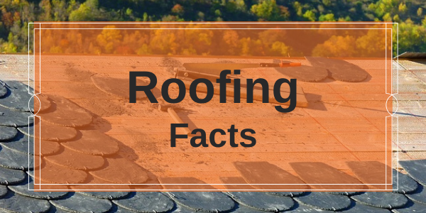 Equipter - Roofing Facts