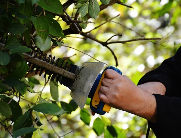 landscape-equipment-hedge-trimmer