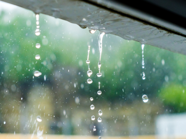 roofing after rain