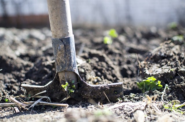 shovel digging grave